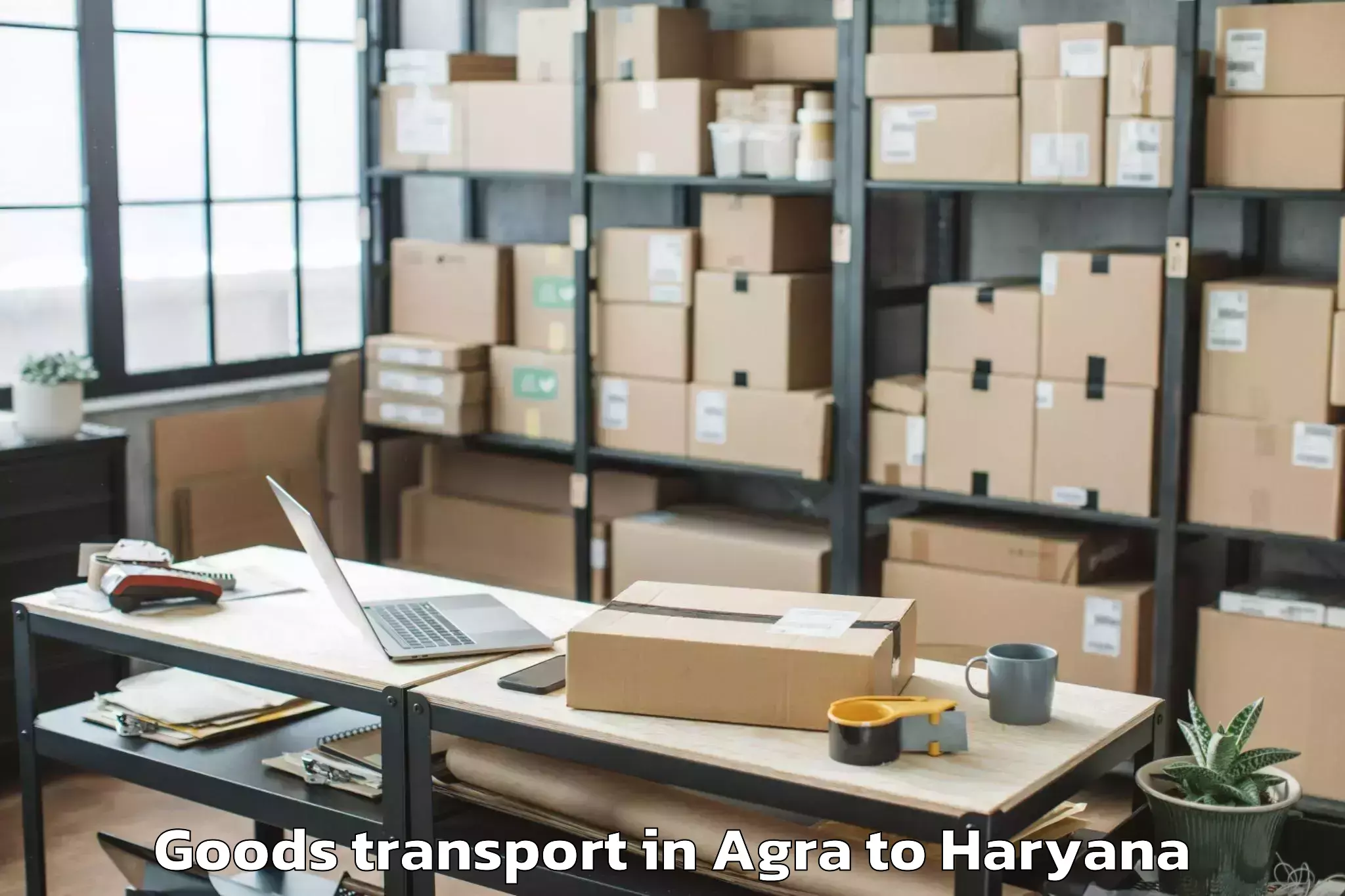 Comprehensive Agra to Mahendragarh Goods Transport